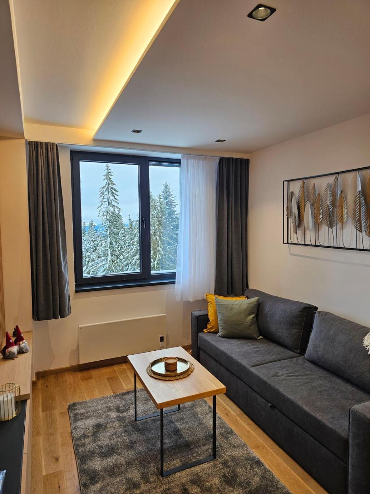 Apart Hotel Zlatni Javor, Apartment 410 亚霍里纳 外观 照片