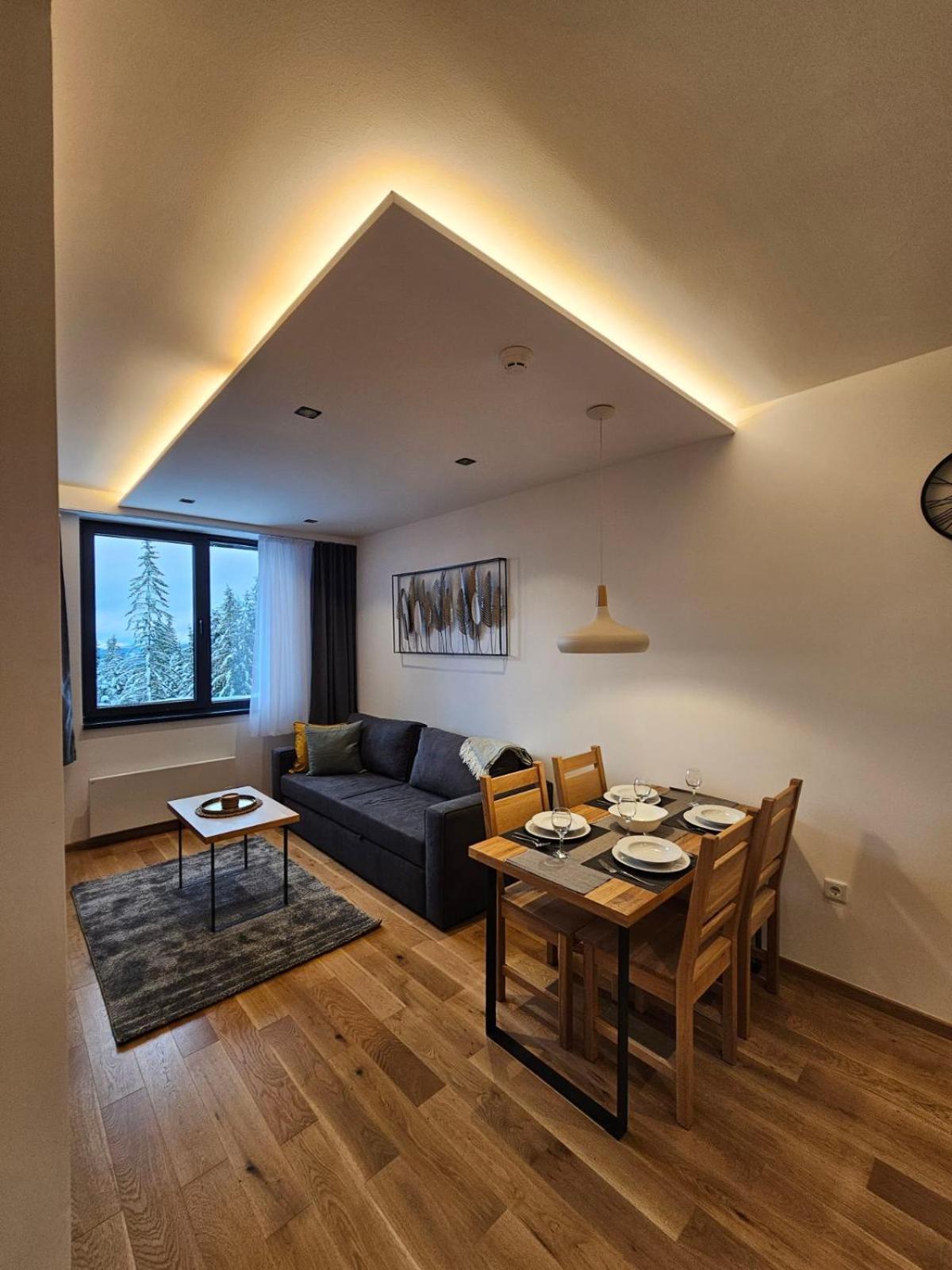 Apart Hotel Zlatni Javor, Apartment 410 亚霍里纳 外观 照片